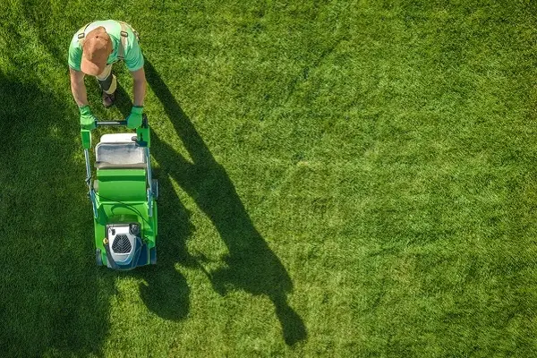 Lawn Care Services