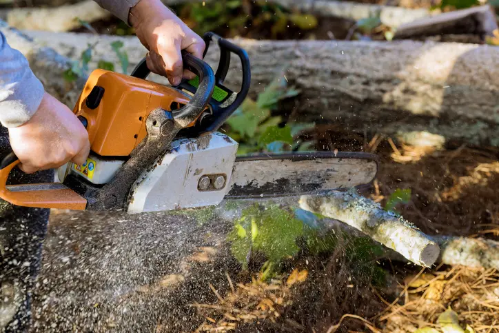 How Landscaping Design Improves Tree Service Curb Appeal in Cedar Creek TX How Landscaping Design Improves Tree Service Curb Appeal in Cedar Creek TX