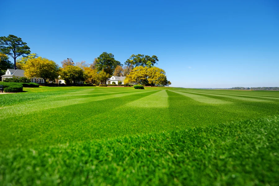 How Lawn Care Services Enhance Curb Appeal For Properties Cedar Creek TX How Lawn Care Services Enhance Curb Appeal For Properties Cedar Creek TX