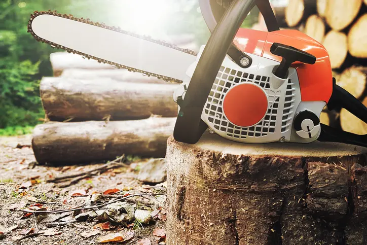 Local Tree Services Cedar Creek TX Local Tree Services Cedar Creek TX