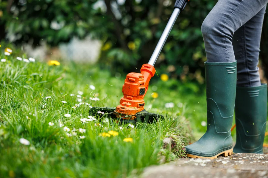 Professional Lawn Care Services Cedar Creek TX Professional Lawn Care Services Cedar Creek TX