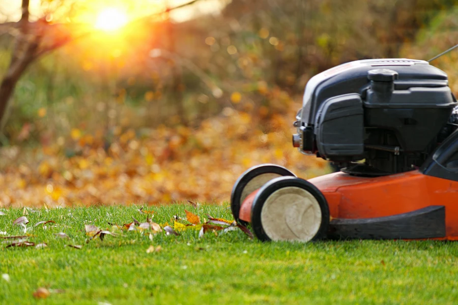 The Role Of Lawn Care Services In Tenant Satisfaction And Retention Cedar Creek TX The Role Of Lawn Care Services In Tenant Satisfaction And Retention Cedar Creek TX